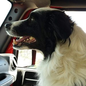 Meet your Posher, Lee ann